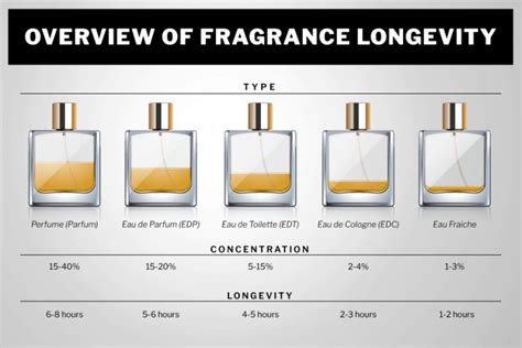 how long does burberry cologne last